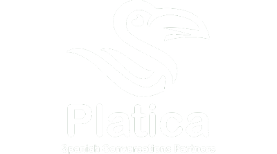 Platica Logo