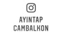 Ayıntap Cam Balkon Logo