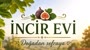@incirevi09 Logo