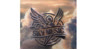The Sky Music Logo