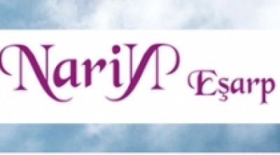 Esarpsatinal.com Logo