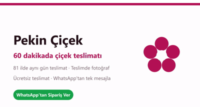 Pekincicek.com Logo