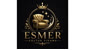 Esmer Koltuk Yıkama Logo