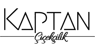 Kaptancicek.com Logo