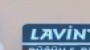 Lavinya Organizasyon