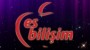 Es Bilişim Logo