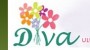 Divacicek.com Logo
