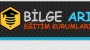 Bilge Arı Akademi Logo