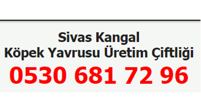 Kangalyavru.com Logo