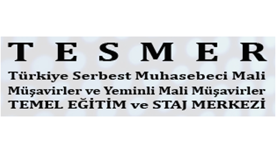 Tesmer Logo