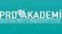Prd Akademi Logo