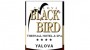 Black Bird Thermal & SPA Logo