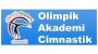 Olimpik Akademi