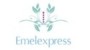 Emel Express Logo