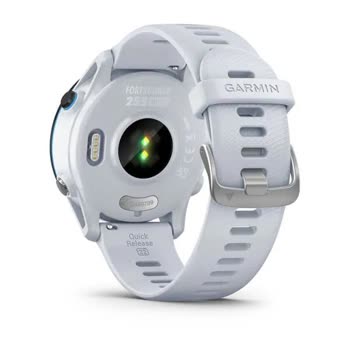 Garmin - Forerunner 255 Music - Görsel 4
