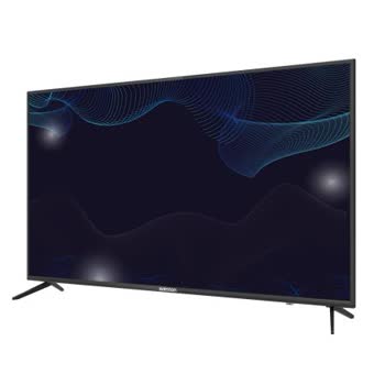 Weston TV - 55WS 2204 - Görsel 2
