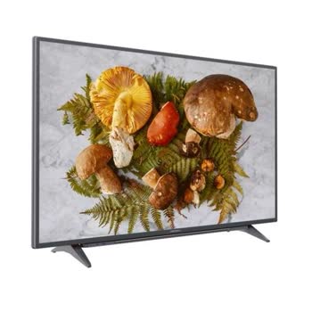 Grundig - Moskova 49 CLX 7820 BP - Görsel 2