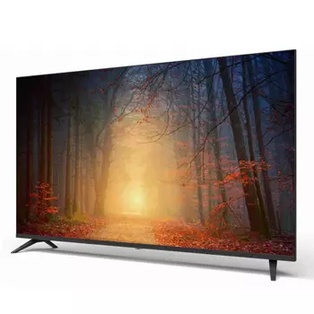 Profilo TV - 55PA525E - Görsel 2