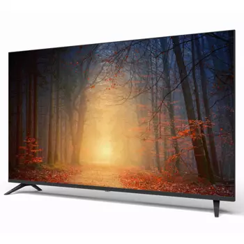 Profilo TV - 65PA515E - Görsel 2