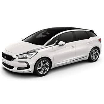 DS5 Logo