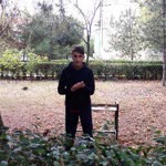 Davut