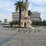 Haluk