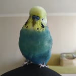 Whyoutouchingmy
