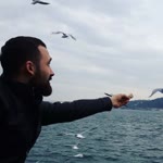 Caner