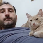 Serhat
