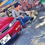 İsmail