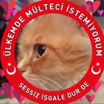 Ayşe