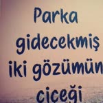 Zeyneb