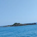 Sevgi