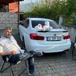 Vedat