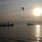 Güneş