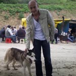 Şahin