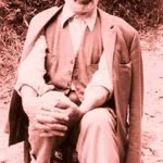 Fazli