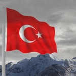 Samet