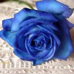 Filiz