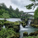 Emine