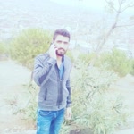 Mücahit
