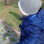 Yasemin