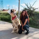 Şeyma