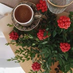 Gülşen