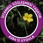 Nilüfer