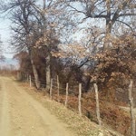 Gülden