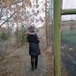 Meryem