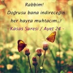Harun
