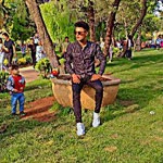 Doğan