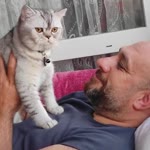 Zafer
